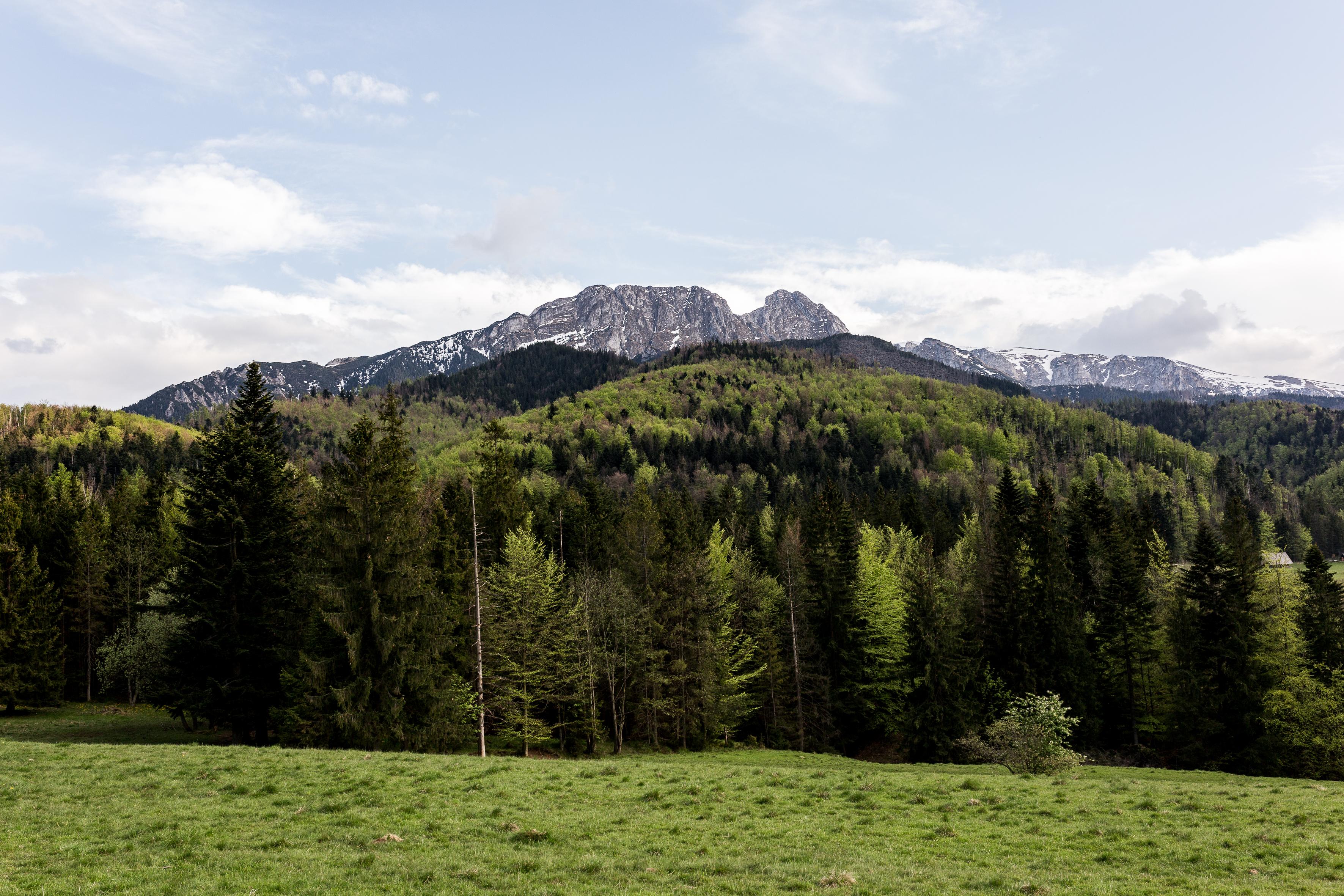 Szarotka Hotell Zakopane Eksteriør bilde